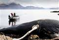 Humpback whale dies on shores of Wester Ross after ‘chronic entanglement’