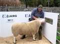 Record breaking ram sale at Lairg