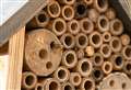 Sutherland householders urged to make a bee hotel or insect house to help vital pollinators