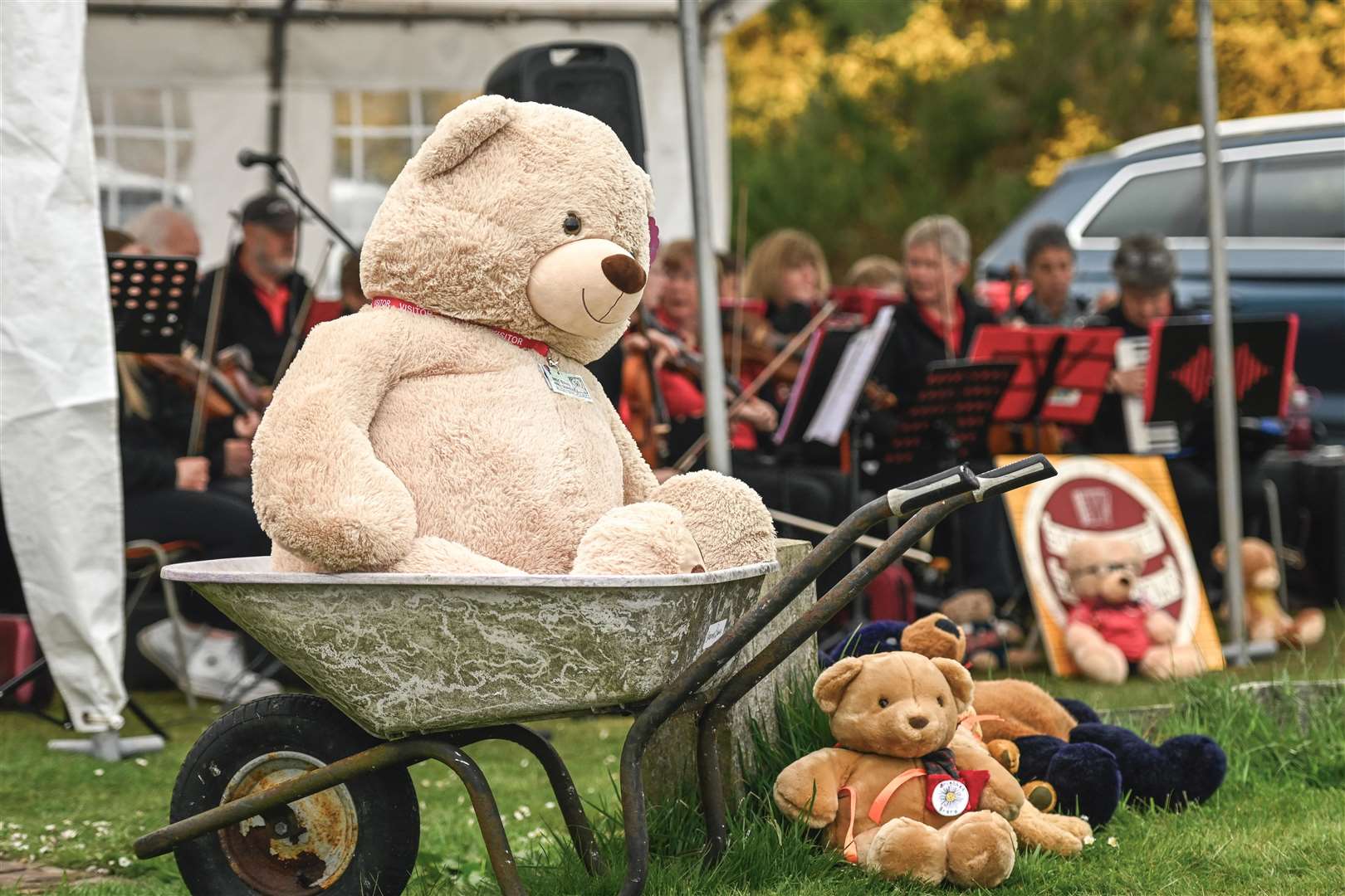 The event had a 'Royal Teddy Bears Picnic Party' theme. Picture: Ewen Pryde Photography