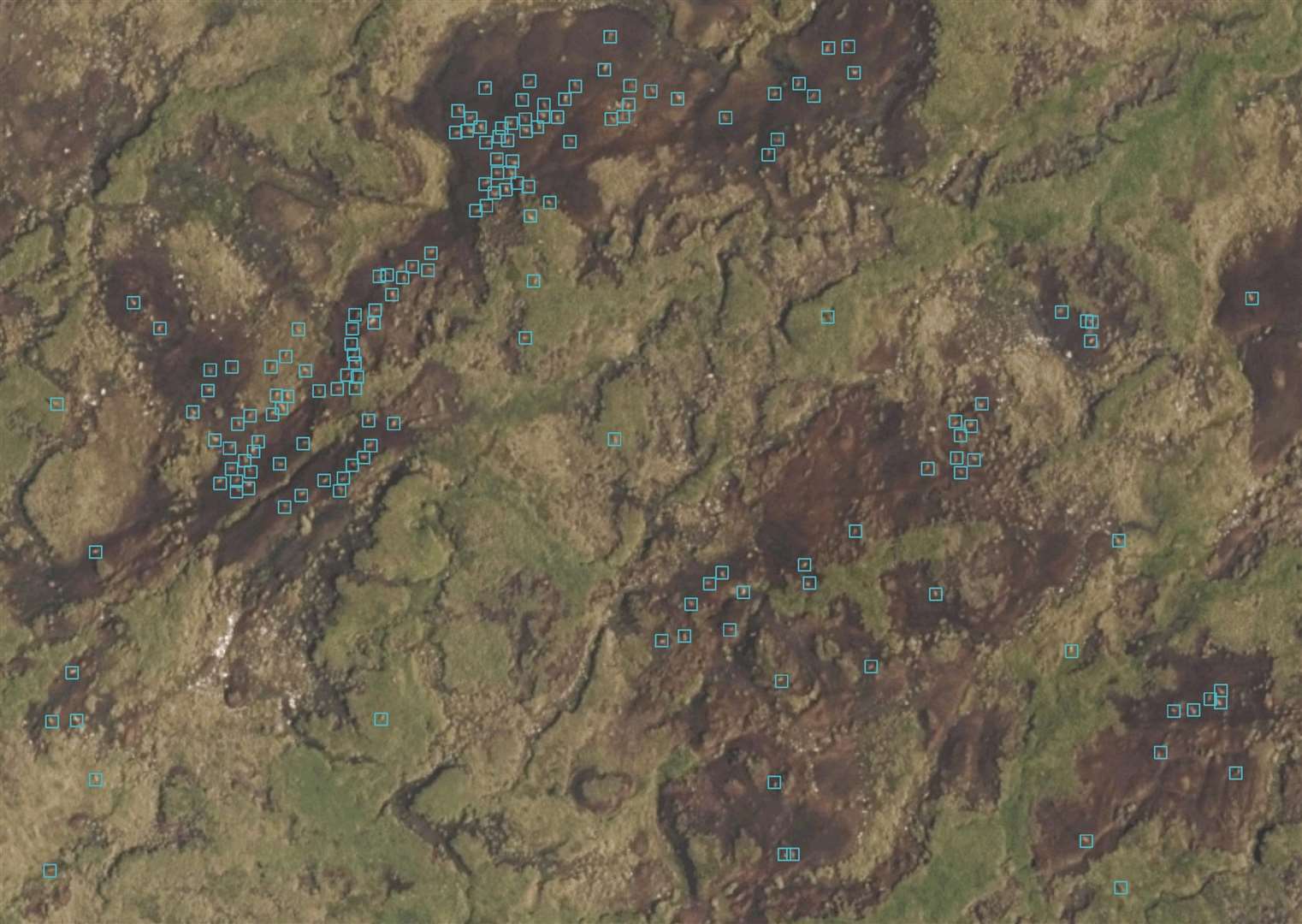 Aerial shot of a deer herd identified by the AI software ©EOLAS Insight/GetMapping.