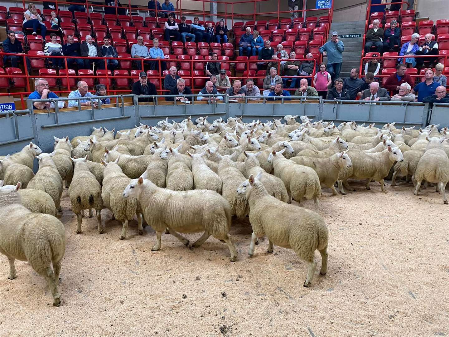 The sale was voted a great success.  Picture: Dingwall and Highland Marts Ltd.