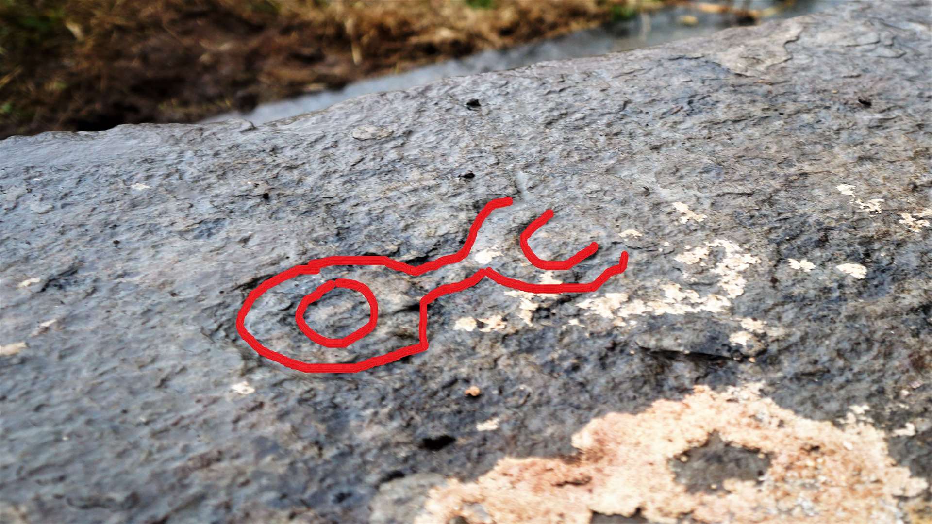 The slab's markings highlighted in red. Some of the lines are covered with lichens and will hopefully be clearer after restoration work is carried out.