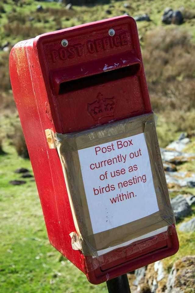 The post box in Clashnessie is out of action due to birds nesting.. Photo: Malcolm Nash