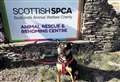 Tesco gives £500 to Caithness and Sutherland SSPCA