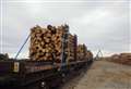 Lorry loads of timber to be taken off A9 onto rail in freight trial