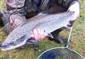 First fish of season caught on River Brora