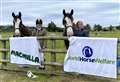 Sutherland Riding Club show raises £600 for cancer and equine charities
