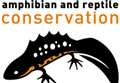 National wildlife charity aims to save Scotland’s amphibians and reptiles