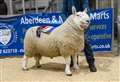 'Outstanding' quality sees centre records smashed at Quoybrae sheep fair