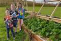 Young north coast gardeners tuck into home-grown soft fruit