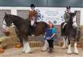 Sutherland Riding Club rider wins at World Clydesdale Show