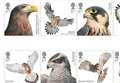 New stamps feature birds of prey
