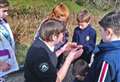 Countryside Rangers to host week of online biodiversity activities for schools