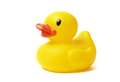 Chance to win £200 at Brora duck race