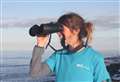 Volunteers wanted in Caithness and north Sutherland for Shorewatch citizen science project 