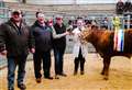 Ten exhibitors to take part in Quoybrae overwintering competition