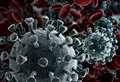 Increase in coronavirus cases in the Highlands