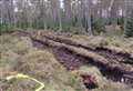 'Wanton destruction': Anger as prehistoric hut circles in Dornoch woodland damaged by forestry operation