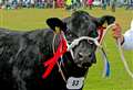 PICTURES: The Sutherland Show is back and bigger than ever