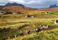 Campaigners seek more support for 'high nature value' farming and crofting