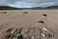 'Clashnessie beach looked like a battlefield': Assynt Field Club say government figures do not represent true scale of bird flu in north-west