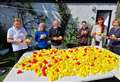 ‘Quacking’ hard work as Rotarians prepare ducks for summer races