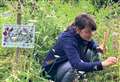 Ullapool to host enlightening talk on Highland Wildflower Meadow Mosaic 