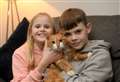 Ginger the cat makes it home to Highlands after 100-mile misadventure