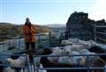 Rogart crofter named as new chair of Scottish Crofting Federation