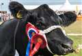It's back! Sutherland County Show set to return with host of new attractions 