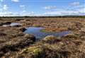 Caithness and Sutherland peatlands protected area extended after conifers removed