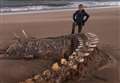 Could this washed up skeleton be Nessie?