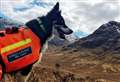 Rescue dog Rona sniffs out disoriented walkers on Wester Ross route 