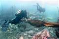 'Spectacular dive' to see remains of WWI ship