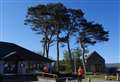 Community piles pressure on Dornoch Medical Practice not to cut down pine trees in its grounds