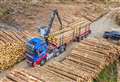 March deadline approaches for proposals to minimise impact of timber transport on rural roads 