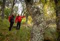 PICTURES: More than one million trees planted on crofts across northern Scotland