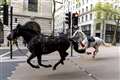 Spooked Army horses cause ‘total mayhem’ in central London