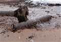 Scottish Water under fire over broken sewage pipe at Brora beach
