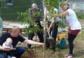 Jubilee tree planting honours at Rogart go to oldest and youngest residents