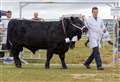 Sutherland Agricultural Society cancels 2020 county show due to pandemic
