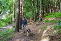Visitors urged to remember that forests are 'not just for our benefit'
