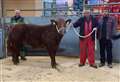 Keen competition and trade at Ross mart's Christmas show and sale