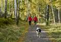 Phased reopening of Highland forest car park sites as coronavirus lockdown relaxes