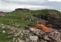 Theft from ancient broch site sparks police plea