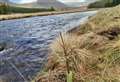 Tree planting on a Sutherland river bank hailed as a “game changer” in protecting salmon from rising temperatures