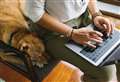 Remote workers favour dog policies at work according to survey 