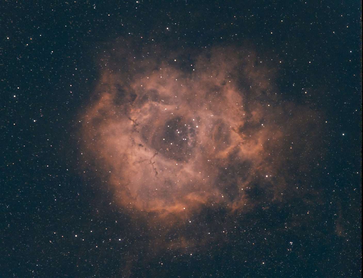 The Rosette Nebula is also located in the constellation of Monoceros and is 5,200 light years distant. The Nebula is also sometimes referred as the 'Skull Nebula' because there is a resemblance to a human skull. The Rosette is approximately 130 light years across and the radiation from young stars excites atoms and produces the nebula we see today.