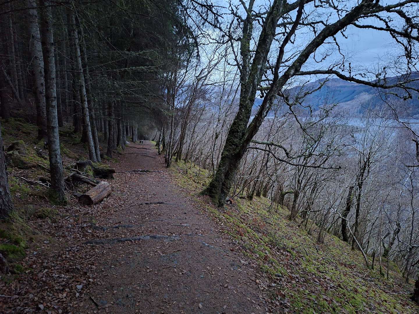 The long path that descends towards Foyers with a view through the trees to Loch Ness.